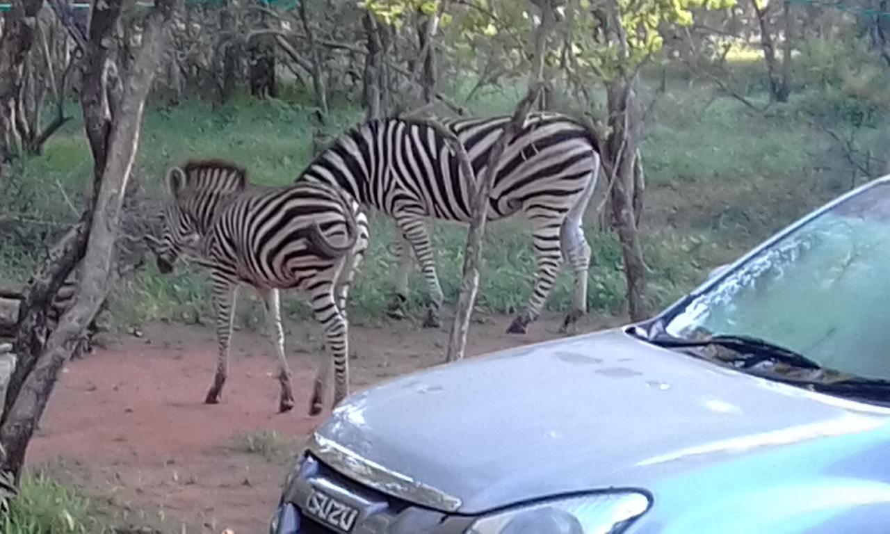Nanisto Bush Lodge Марлот-Парк Экстерьер фото